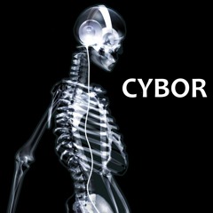 cybor242