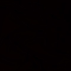 Bitunov
