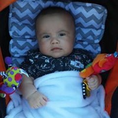 Chelle N Ikaia Gilchrist