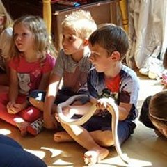 Sounds from Sunday afternoon