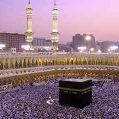 AL Shaimaa Reda