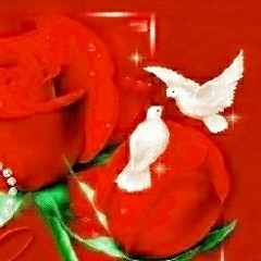 User 441999176