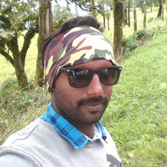 Shankaregowda HS