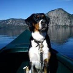 Ole Jakob Rønningen