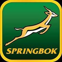 Springbok84