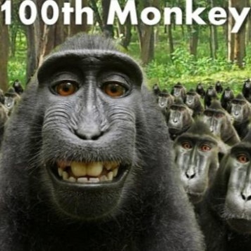 The 100th Monkey's stream