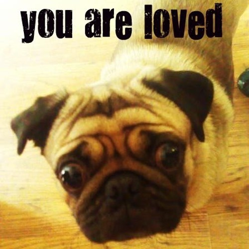 Euphoria Classic Euphoria Disc 3