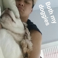 Huy Dinh 5