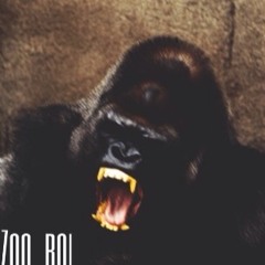 Zoo_boi