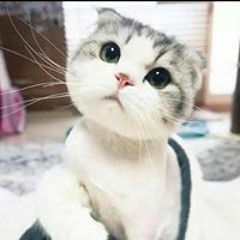 Nurul Nahsa Abdullah