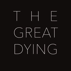 Everything All At Once