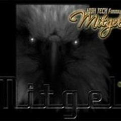 Mitgel Ht Tps