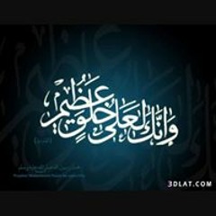 عبد الرحمن مصرى