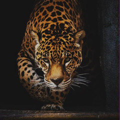 Артур Валентинович