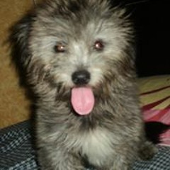 Jennifer Abaquita Ngalot