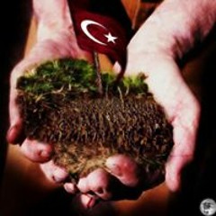 TC Güler Alimisoğlu