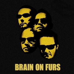Brain On Furs