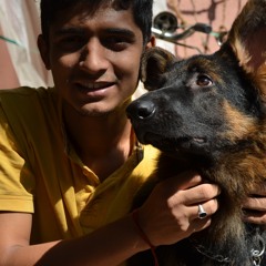 rupesh kumar