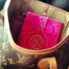 زهرة الربيع