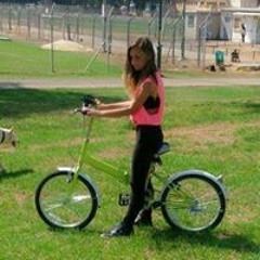 שנינה דיקשטיין