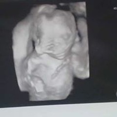 Lashunda Green Willis