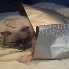 Linda LaRosa O'Steen