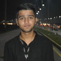 zeeshan majeed