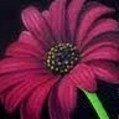 saleha altaf