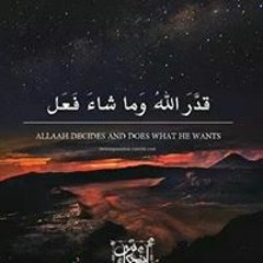 Engy Ali