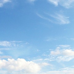 Saccharine Saccharine