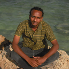 mohamed_mansi