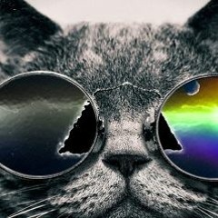 Koolkatsbeats