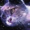 Spacial Oubment