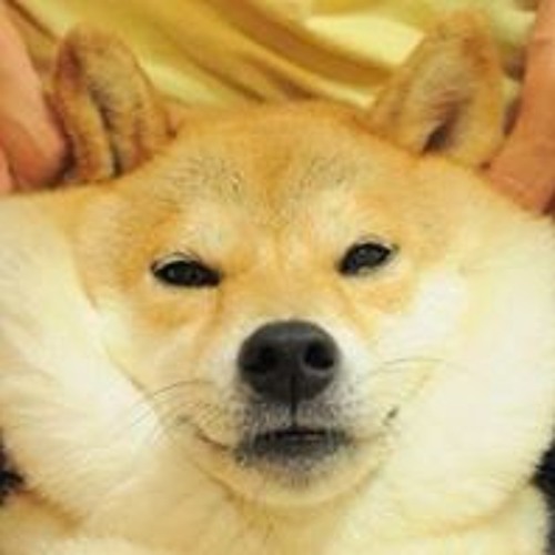 schwan and mikeys baked bonanza