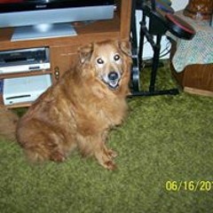 Patricia Mercer Hunt