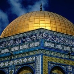 Hala Zahalqa