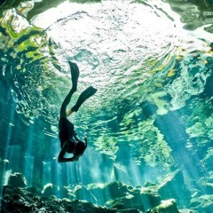 - ROLLER REEFS -
