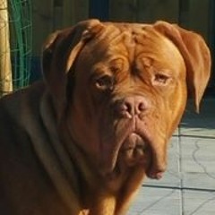 Emiel Patty Kolvenbach