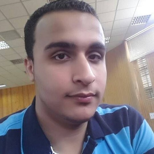 محمود صديق المنشاوى