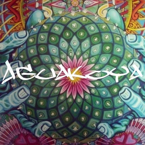 AguaKoya’s avatar