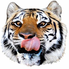 GiantRealisticFlyingTiger