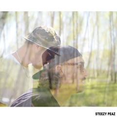 STEEZY PEAZE