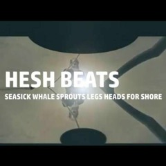 Hesh Beats