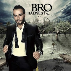 Halwest Official