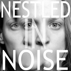 Nestled in Noise