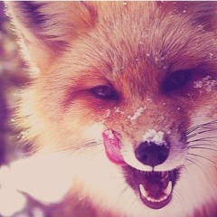 Foxxy