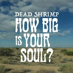 Dead ShriMp