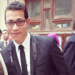 Mohamed Abdel Twab