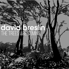 David Breslin