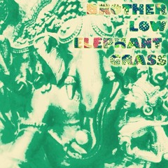 BrotherLowElephantGrass